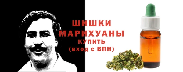 ALPHA PVP Белокуриха