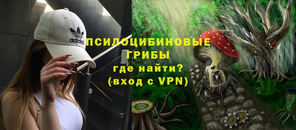 ALPHA PVP Белокуриха