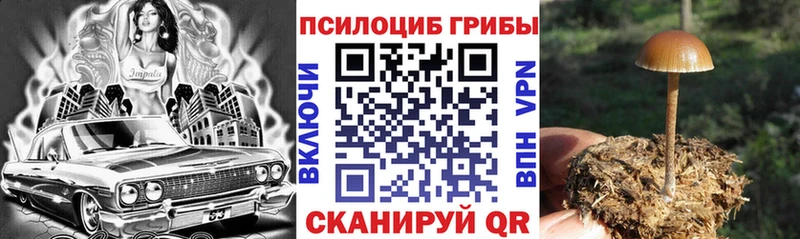 Галлюциногенные грибы GOLDEN TEACHER  цены наркотик  Белоозёрский 