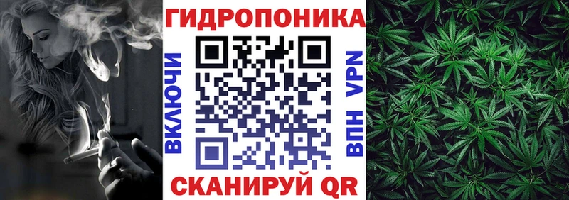 Бошки марихуана Amnesia Белоозёрский