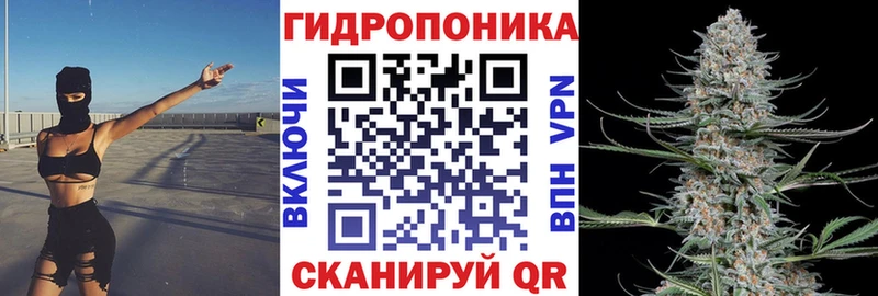 Бошки Шишки марихуана  Белоозёрский 